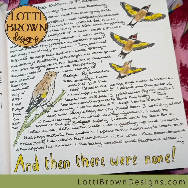 Goldfinches fledging nature journal page