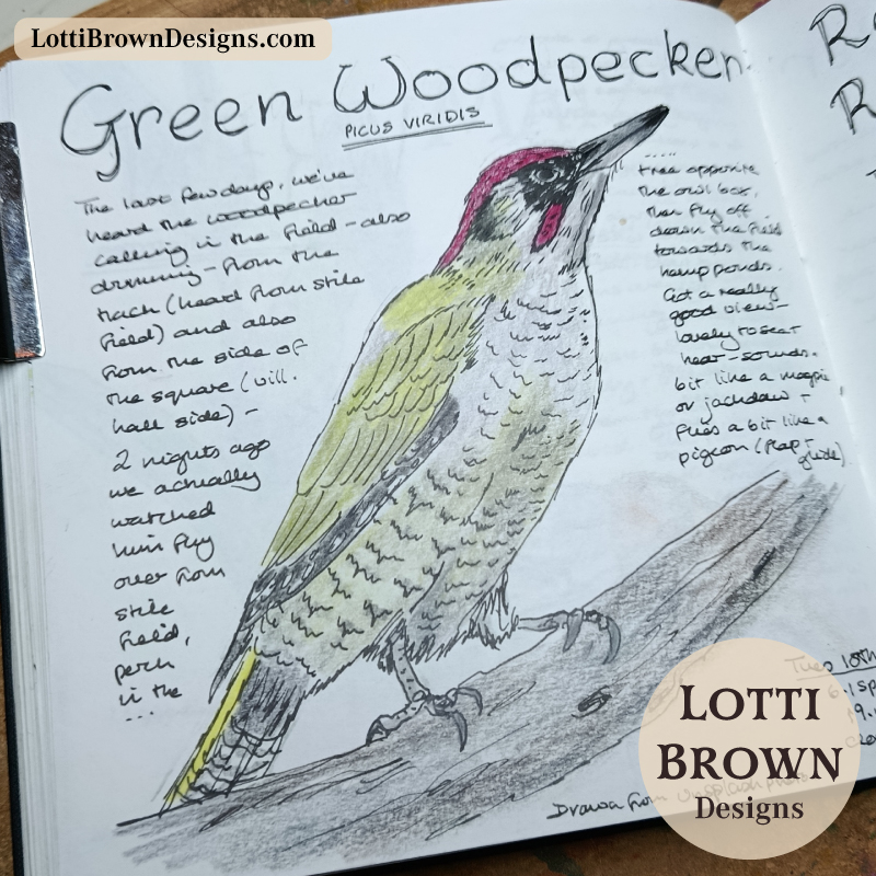 Green woodpecker journal page