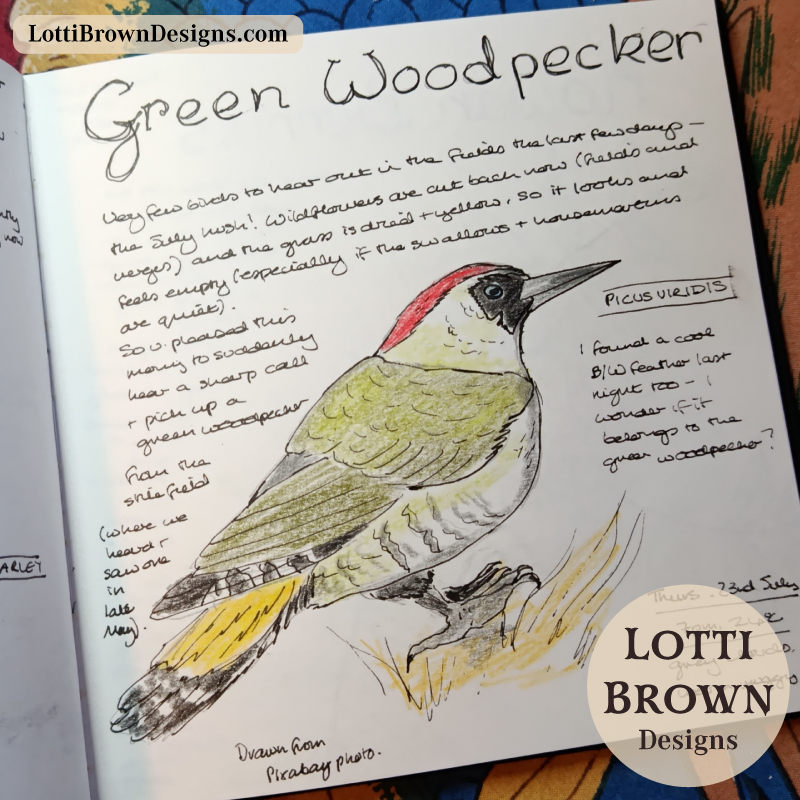 Green woodpecker