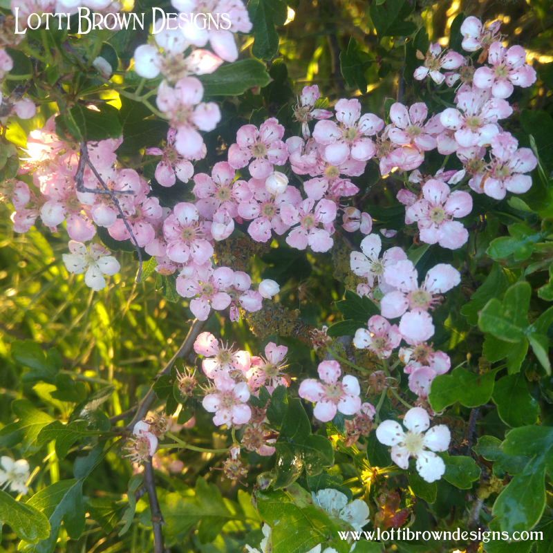 May blossom pink