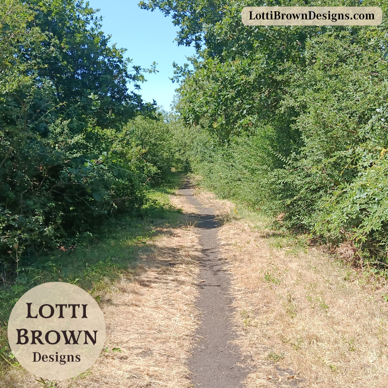 heatwave walk with dried grass