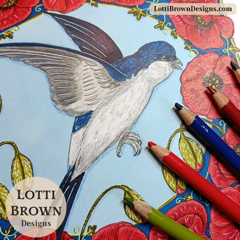 house martin coloured pencil drawing