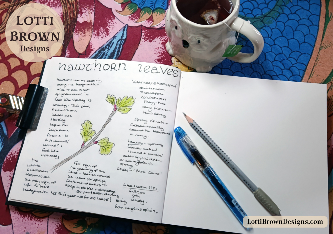 How to nature journal for beginners - real life nature journal open on table