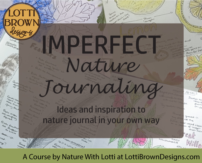 Imperfect Nature Journaling course