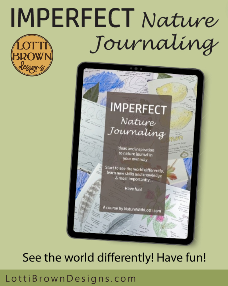 Imperfect nature journaling course online