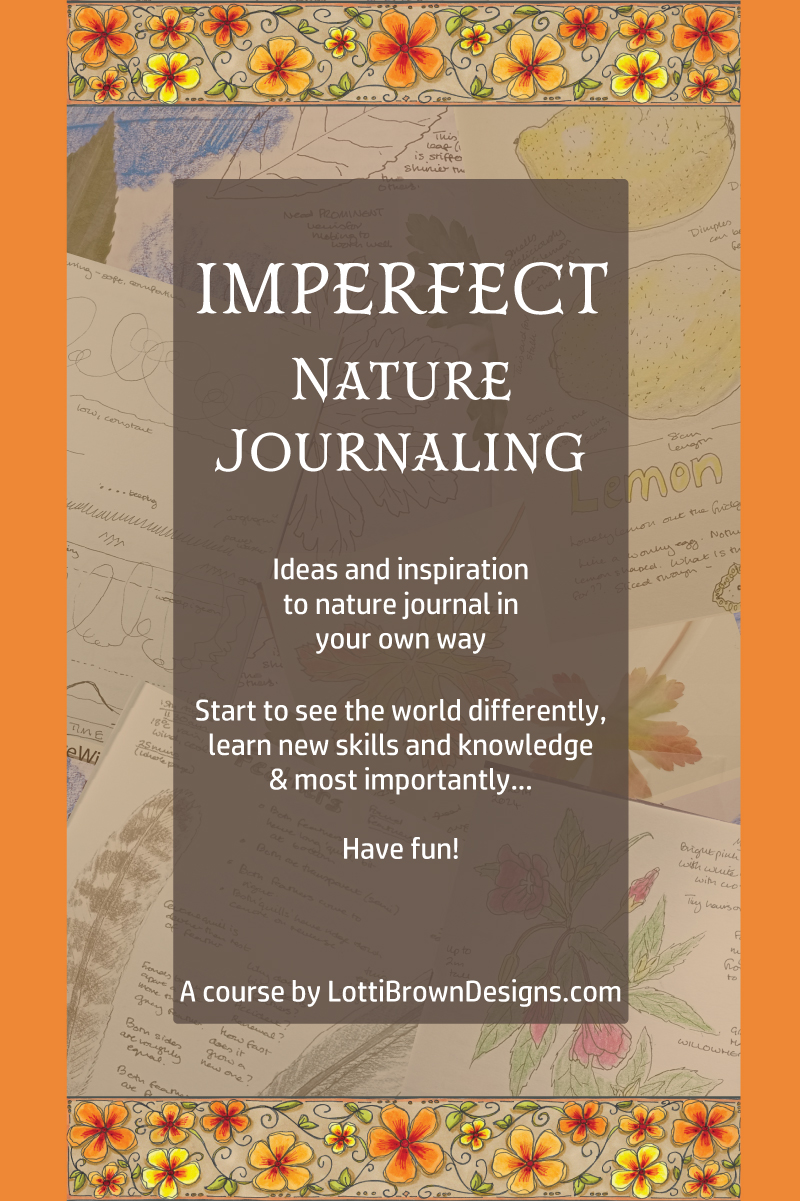 imperfect nature journaling course