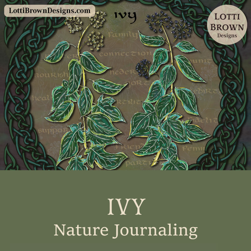 Ivy nature journaling