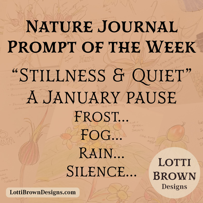 January nature journal prompt - Stillness and Quiet