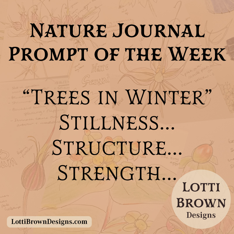 January nature journal prompt - winter trees