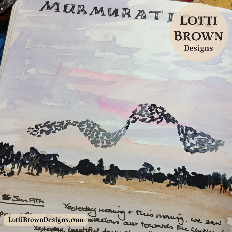 January starling murmuration recorded in my nature journal