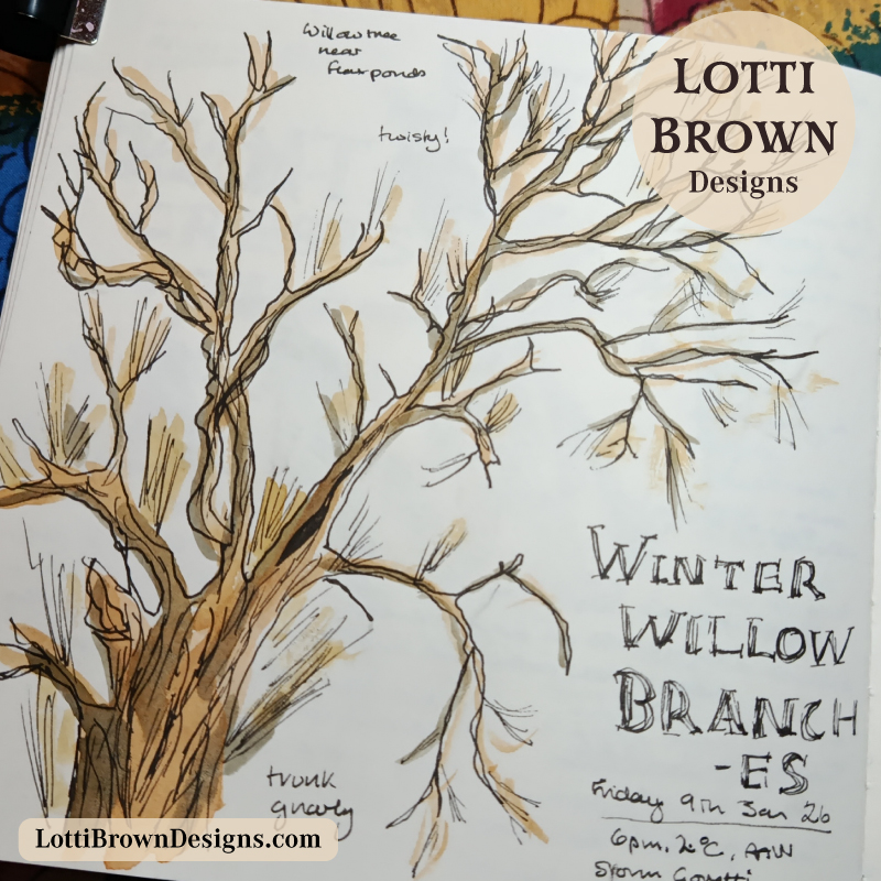 Nature journaling in winter - drawing bare tree branches