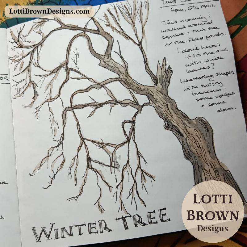 Beautiful winter tree in my nature journal