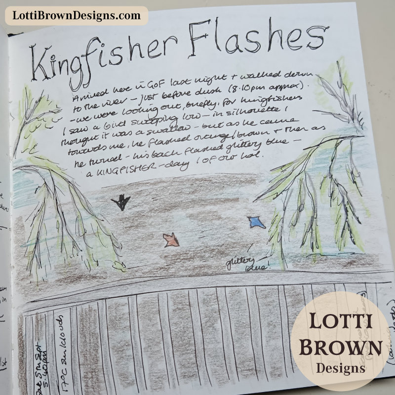 Kingfisher flashes in my nature journal