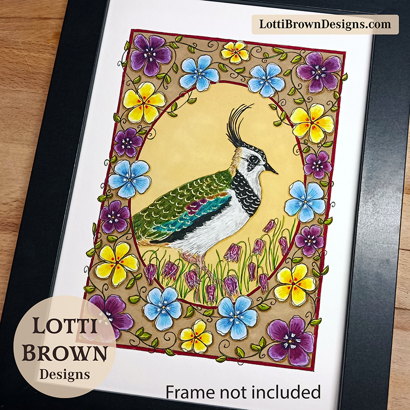 Lapwing original art detail - coloured pencil and pen