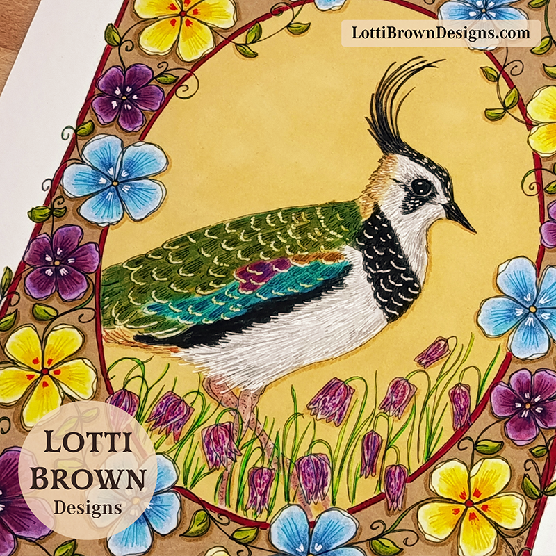 Lapwing art print 09