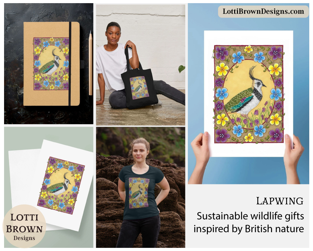 Lapwing art prints and products
