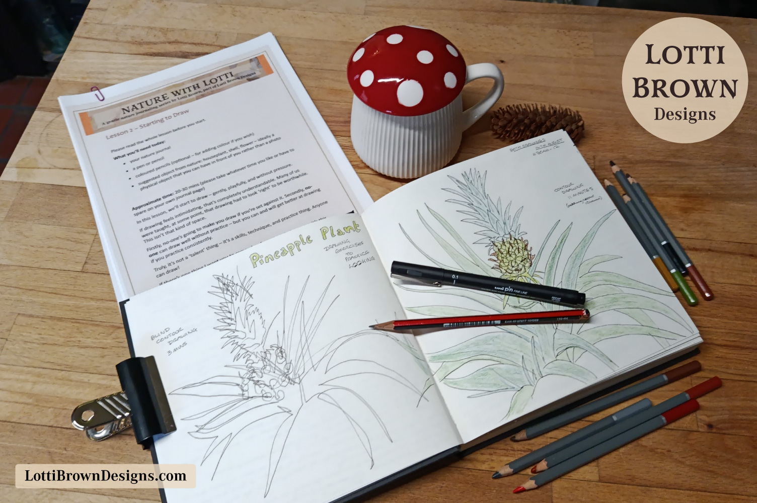 Nature Journal Course lesson on Starting to Draw