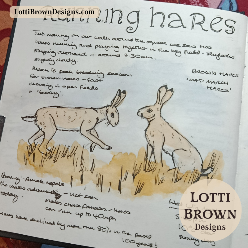 Mad March hares in the Yorkshire landscape