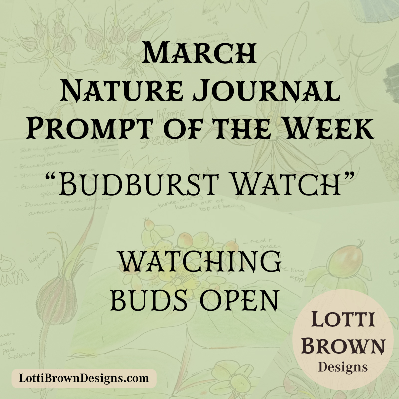 March nature journal prompt - budburst