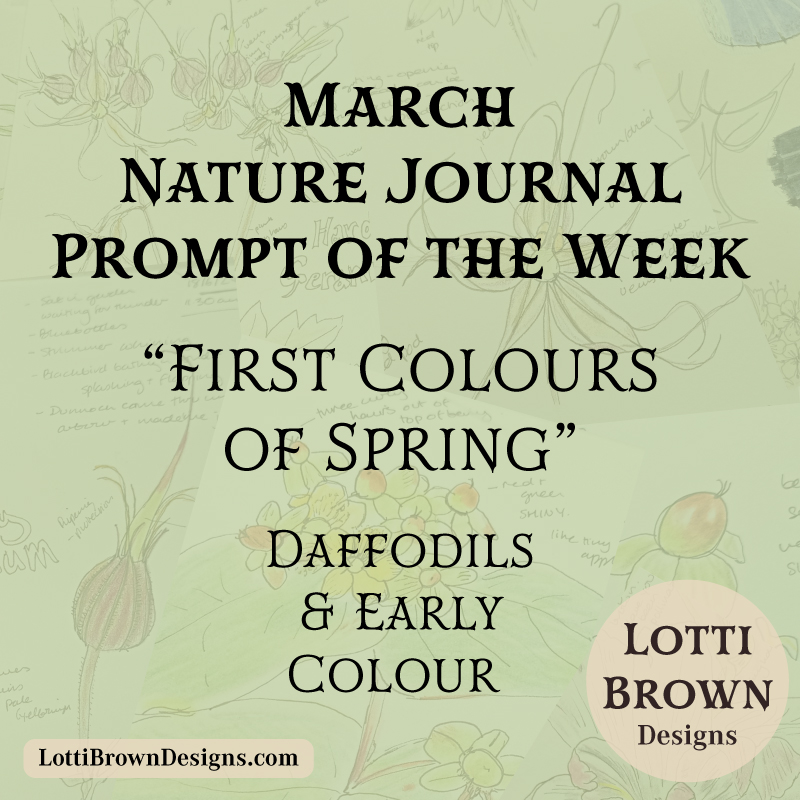 March nature journal prompt - week 1 - daffodils and early colour