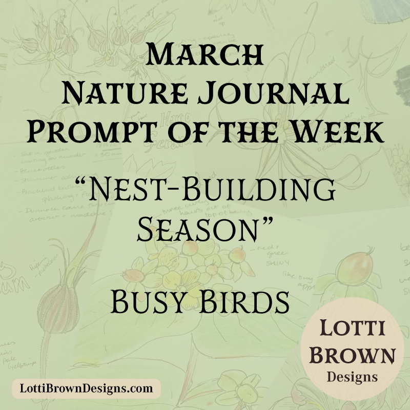 March nature journal prompt - nest-building birds