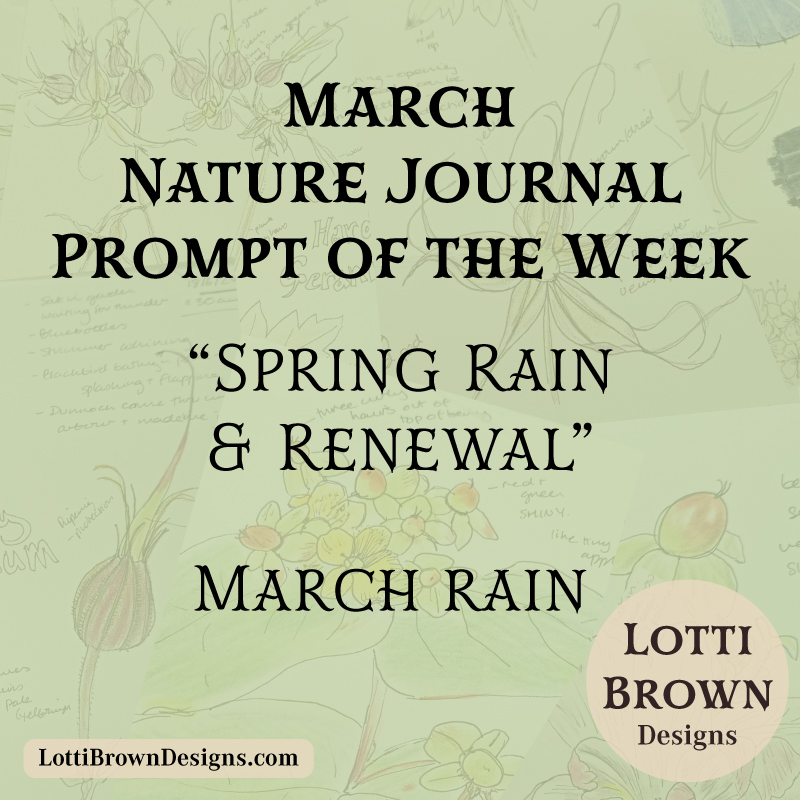 March nature journal prompt - Spring rain and renewal
