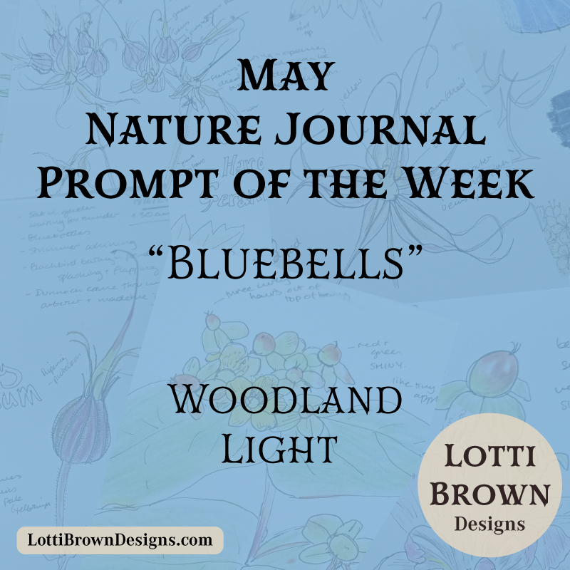 May nature journal prompt - bluebells and woodland light