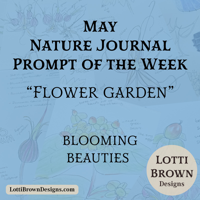 May nature journal prompt - Flower Garden