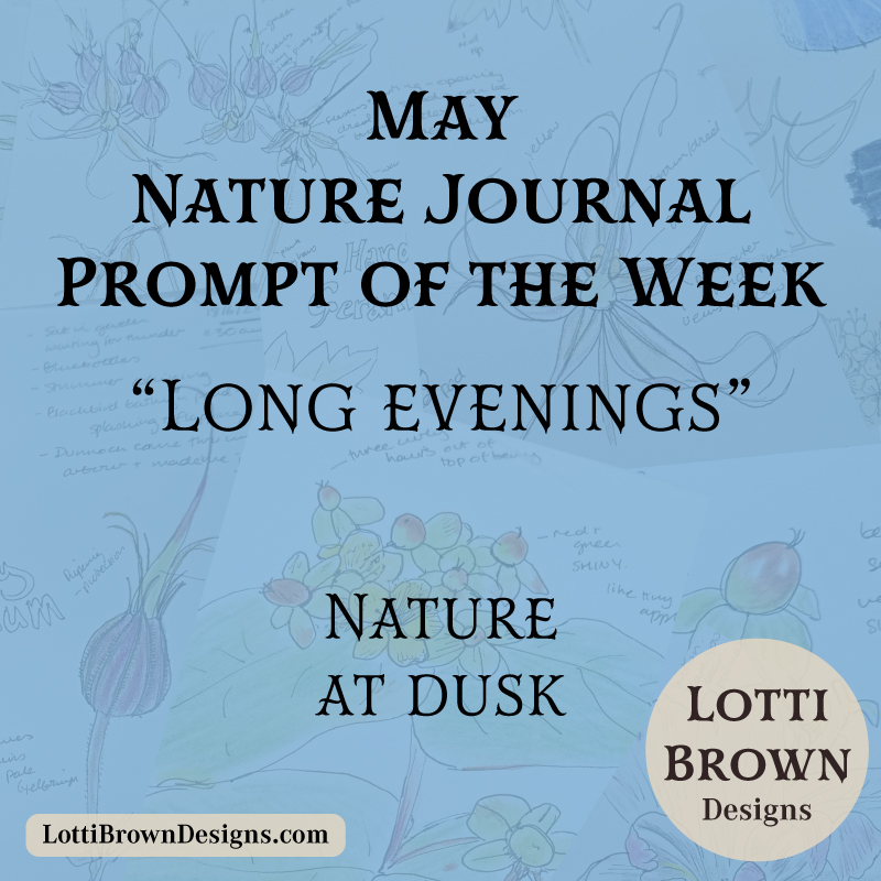 May nature journal weekly prompt - nature at dusk
