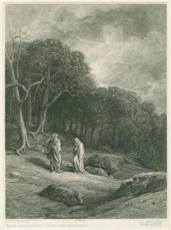 Merlin and the Oak