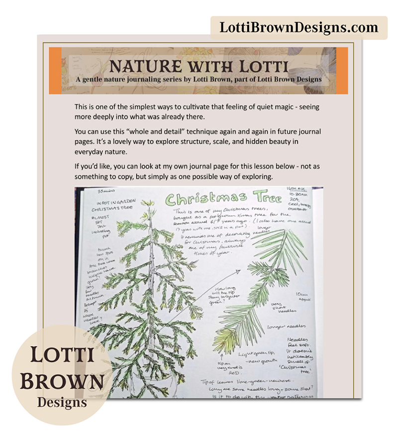 Imperfect Nature Journaling Course Lesson Extract