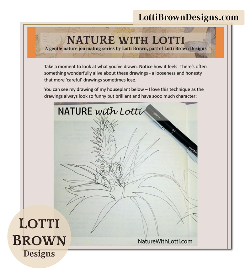 Imperfect Nature Journaling Course Lesson Extract - learning to draw