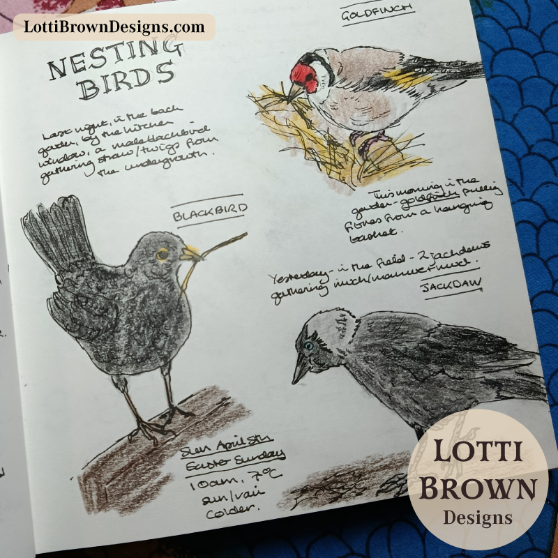 Birds gathering materials for their nests - recorded in my April nature journal