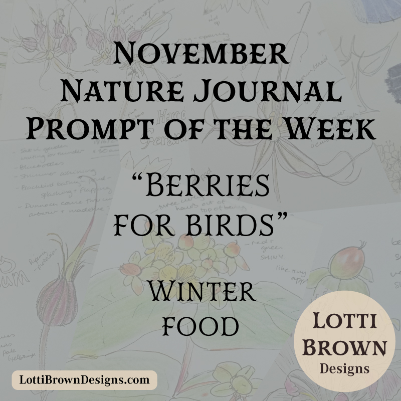 November nature journal weekly prompt - berries and birds