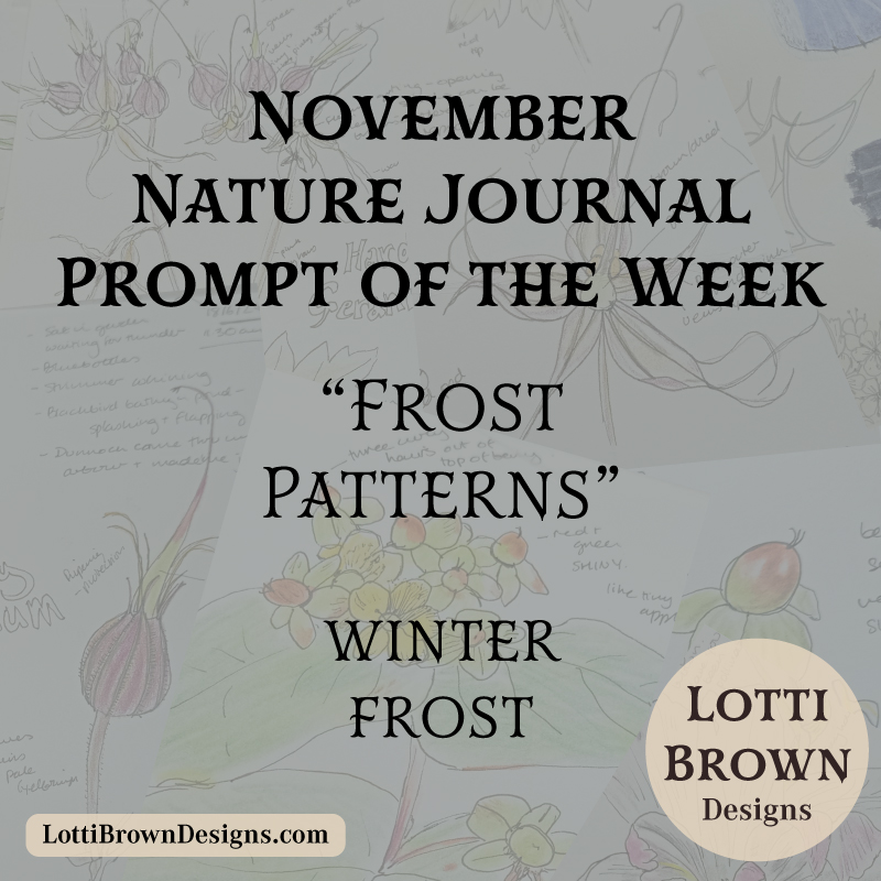 November nature journal weekly prompt - frost patterns November nature journal weekly prompt - frost patterns