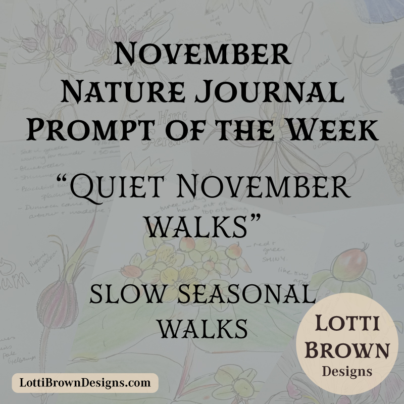 November nature journal weekly prompt - quiet walks