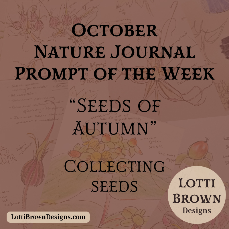 October nature journal weekly prompt - autumn seeds