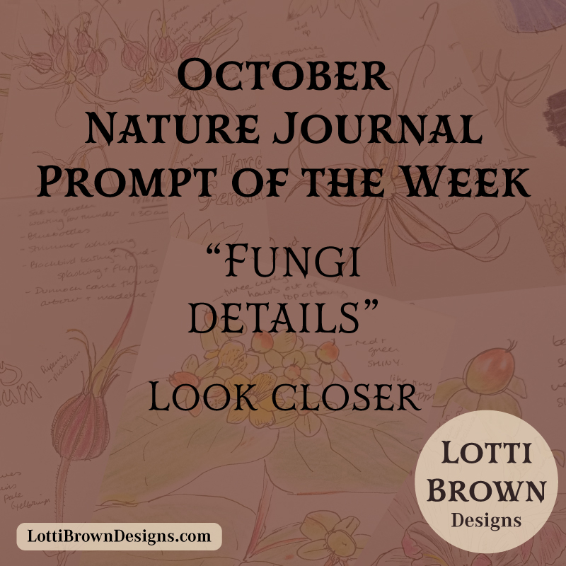 October nature journal weekly prompt - fungi details