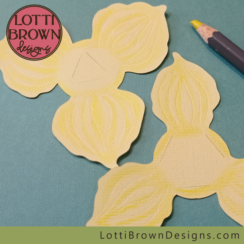 The coloured pencil adds texture to the daffodil petals
