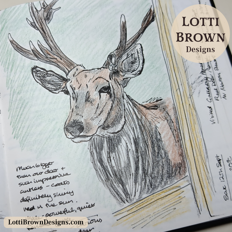 Drawing a red deer stag in my journal