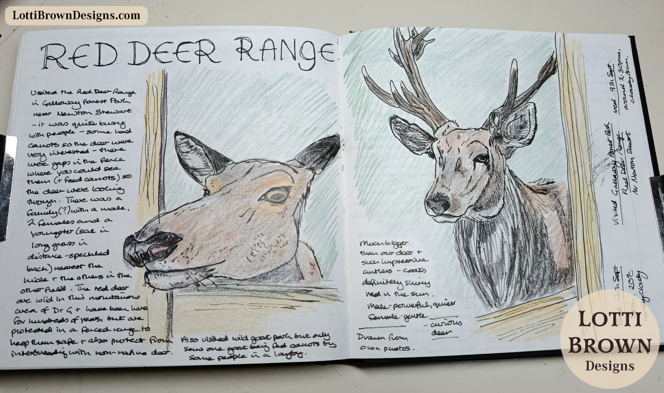 Red deer journal page, double-page spread