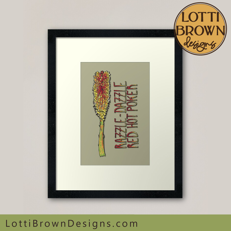 Red Hot Poker art print