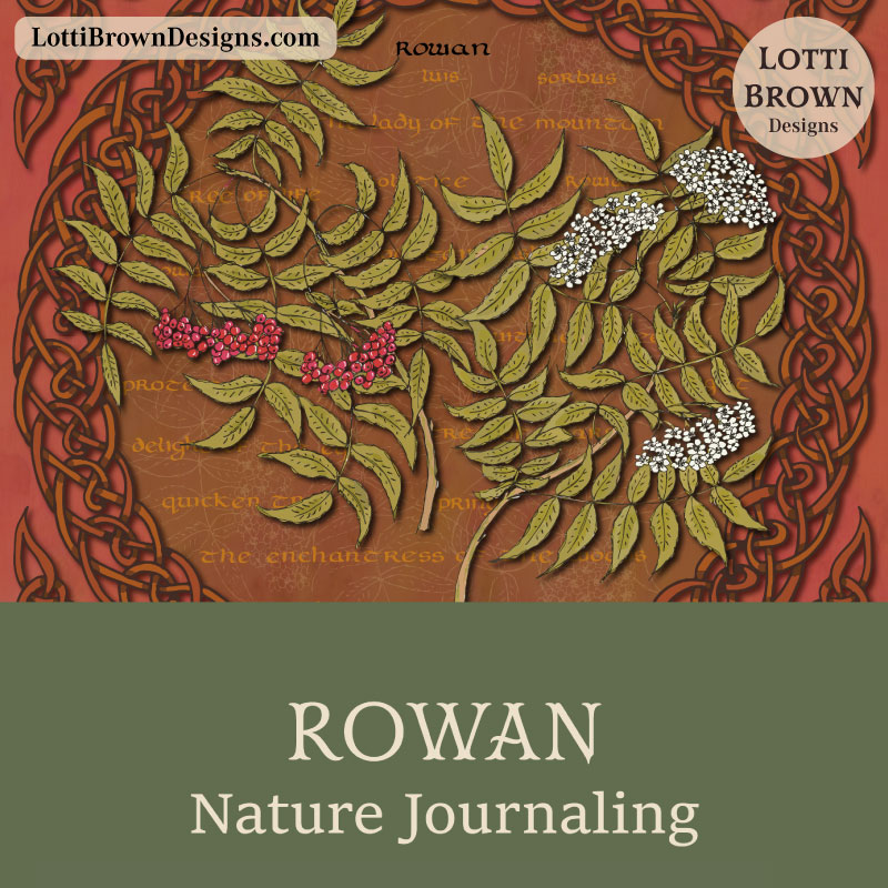 Rowan nature journaling
