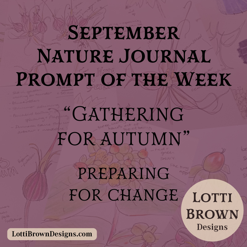 September nature journal prompt - gathering for autumn
