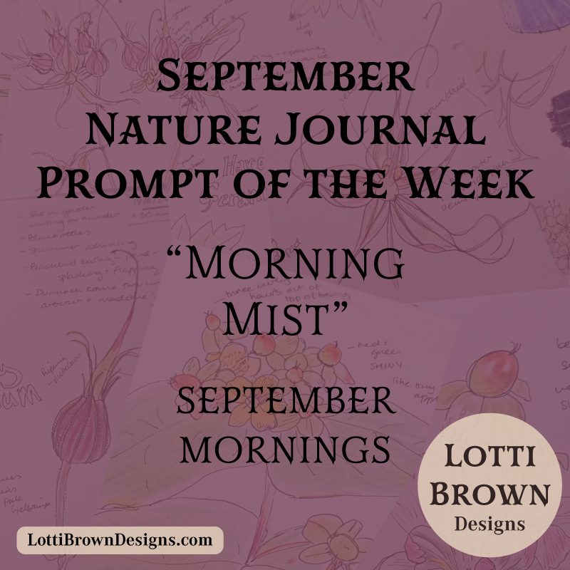 September nature journaling prompt - misty mornings