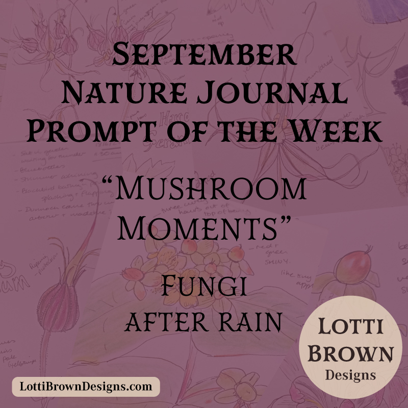 September nature journal weekly prompt - mushroom moments