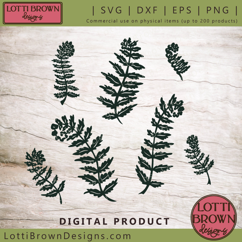 Hand-drawn fern SVG files to add foliage and leaves to your floral papercrafting - ideal for all cutting machine crafts...