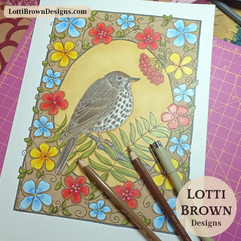 Song thrush drawing in pens and coloured pencils