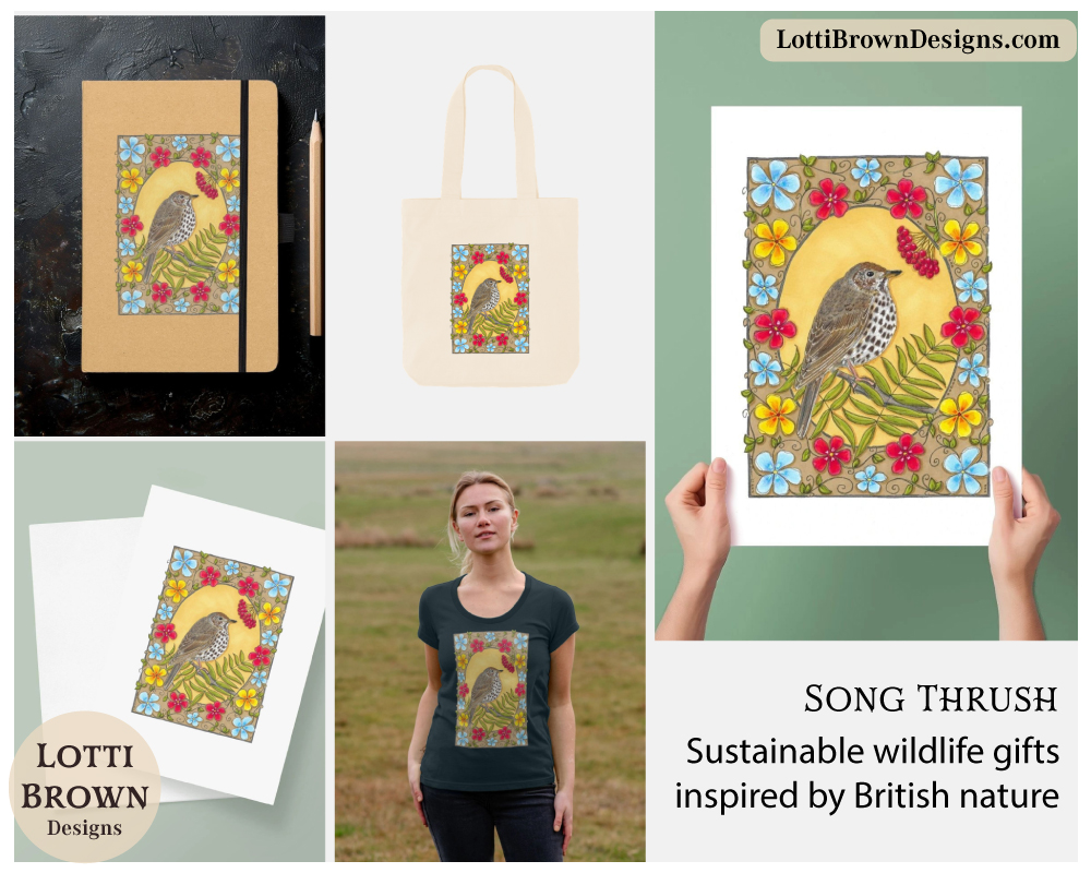 Song thrush art prints and products