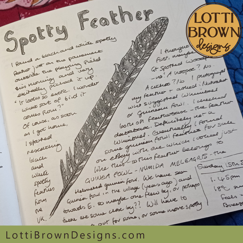 Spotty feather nature journal page